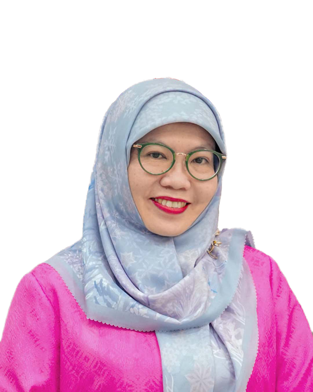 Elly Zarni Husin, CA., FCMA., CGMA.