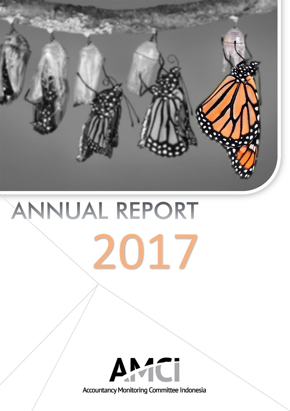 Laporan Tahunan 2017